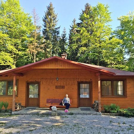 Villa Dom Lidia Szklarska Poręba Esterno foto
