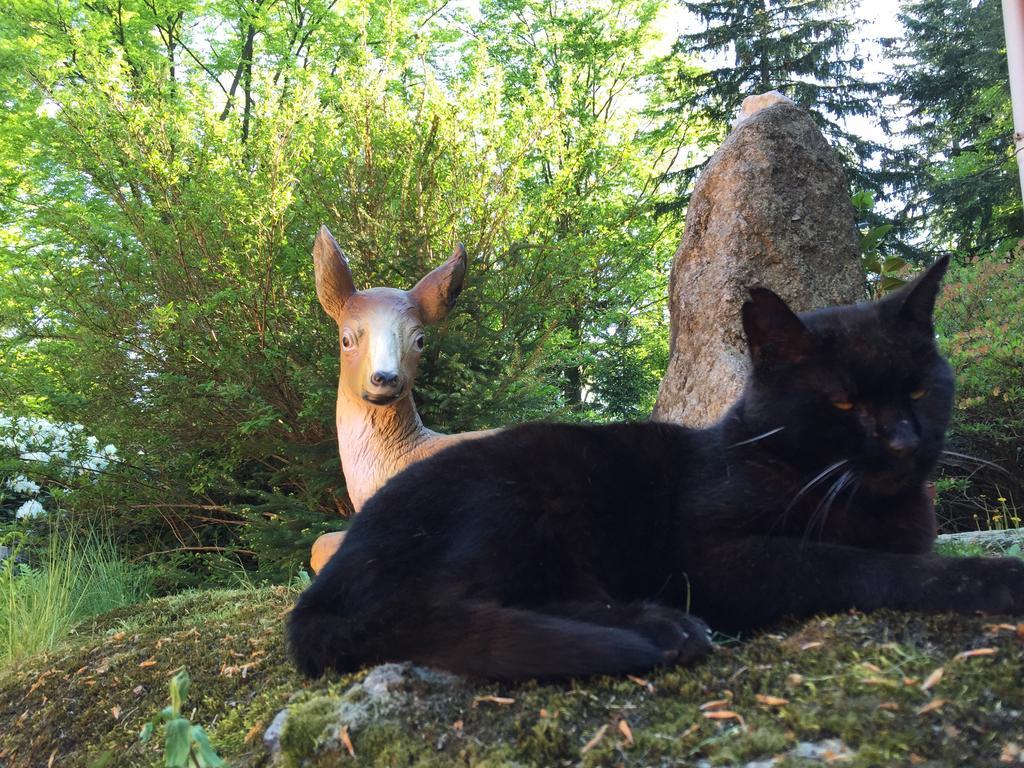 Villa Dom Lidia Szklarska Poręba Esterno foto